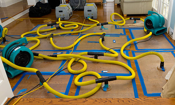 Professional Structural Drying And Dehumidification technician working in George, WA